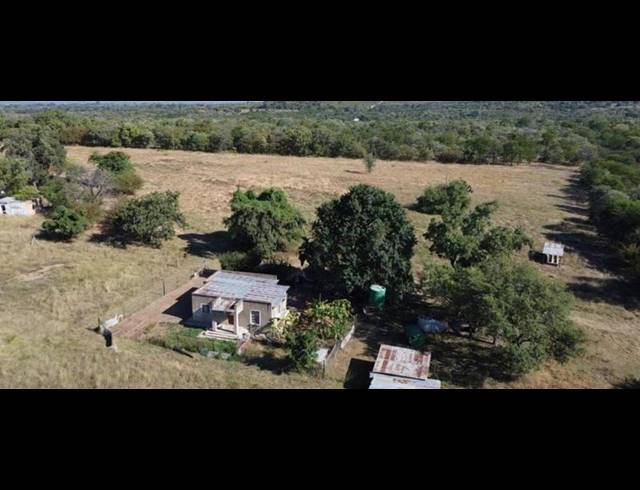 FARM FOR SALE IN TZANEEN RURAL
